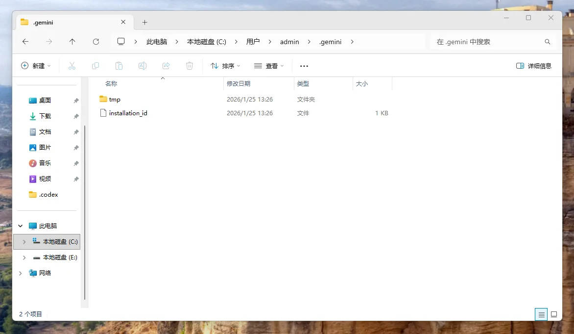 打开 Gemini 配置文件夹